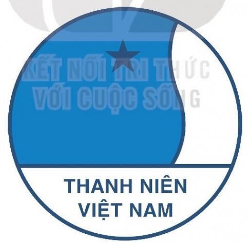 Giải bài 6 Thiết kế logo