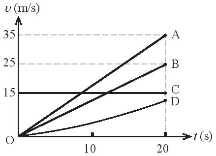 Trắc nghiệm Vật lí 10 Chân trời bài 7 Gia tốc - chuyển động thẳng biến đổi đều