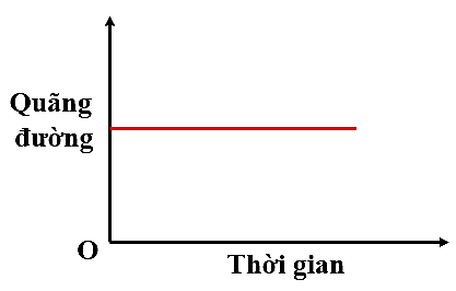 Trắc nghiệm KHTN 7 chân trời bài 9 Đồ thị quãng đường - thời gian