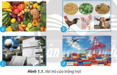 Giải bài 1 Nghề trồng trọt ở Việt Nam