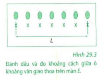 Giải bài 29 vật lí 12: Thực hành: Đo bước sóng ánh sáng bằng phương pháp giao thoa ( Phần 2 ) trang 147 sgk