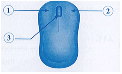 Cho hình ảnh chuột máy tính, vị trí đánh số 2 là