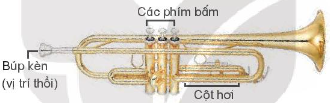 1. Giới thiệu kèn trôm pet