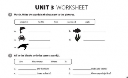 [Cánh Diều] Explore English: Unit 3 Worksheet