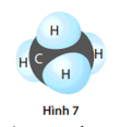 hình 7