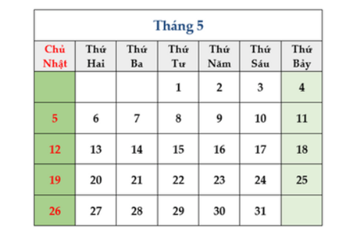 Trắc nghiệm Toán 3 kết nối bài 8 Luyện tập chung