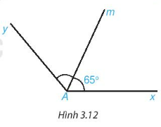 Giải bài 8 Góc ở vị trí đặc biệt, tia phân giác của một góc