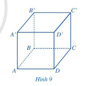 Giải bài 1 Hình hộp chữ nhật. Hình lập phương